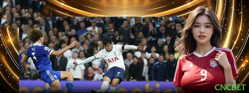 cncbet Baixar e Login